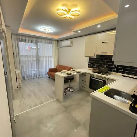 Daire 1+1 Fully Furnished Flat İstanbul