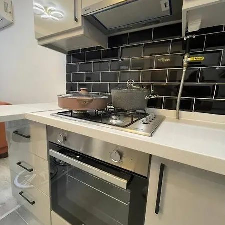 公寓 1+1 Fully Furnished Flat 伊斯坦布尔
