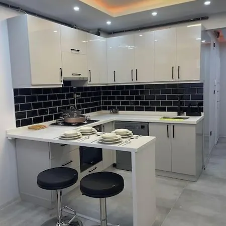 1+1 Fully Furnished Flat 公寓