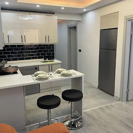 1+1 Fully Furnished Flat Istanboel